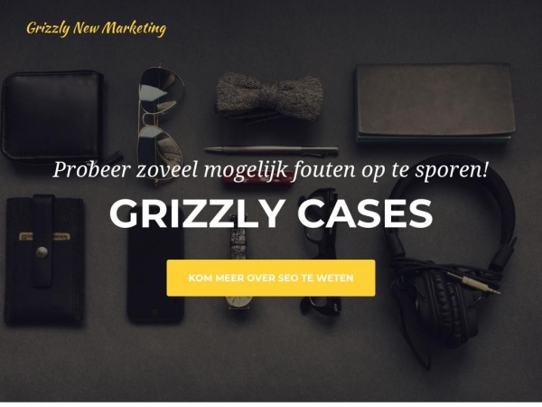 cases.grizzly.marketing