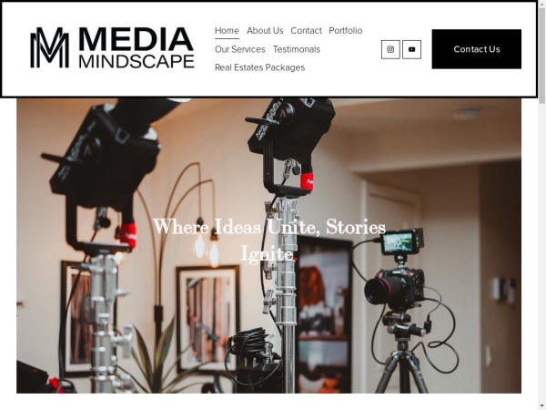 mediamindscape.com