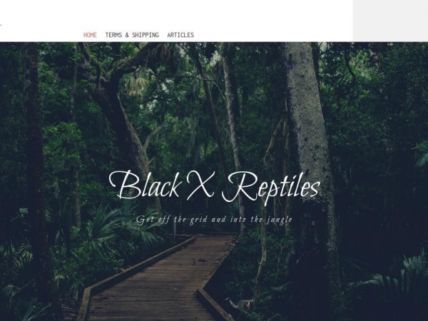 blackxreptiles.com