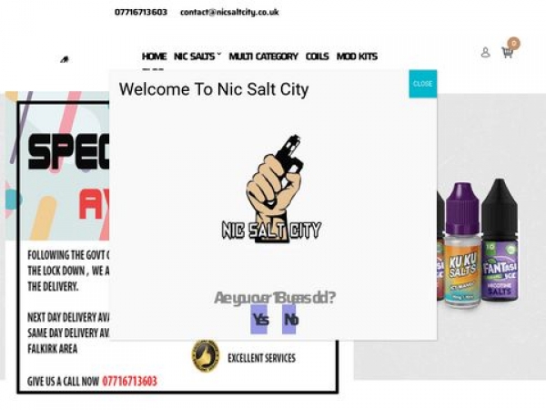 nicsaltcity.co.uk