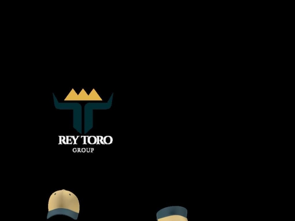 reytorogroup.com