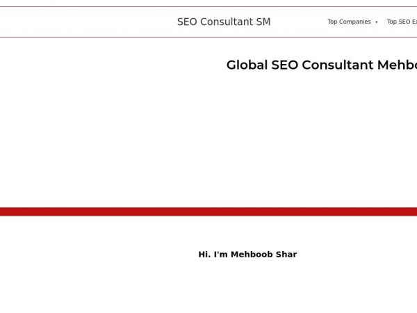 seoconsultantsm.com